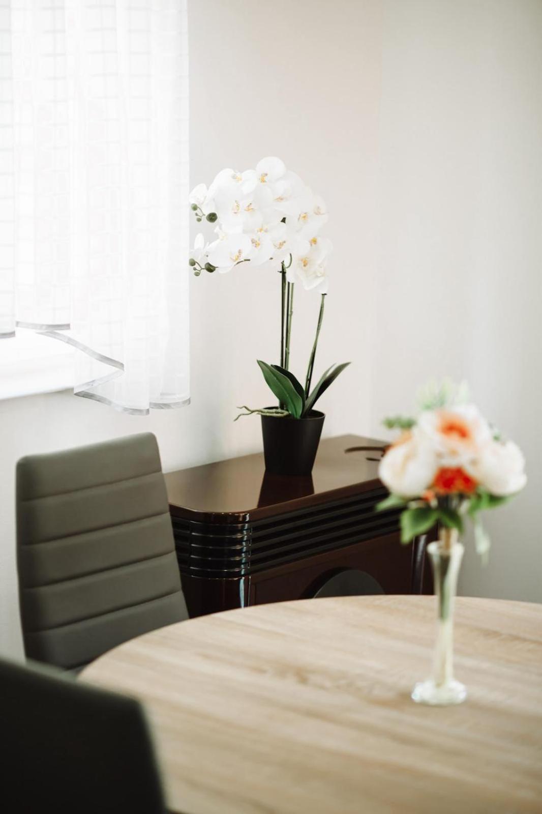 Apartman Sunny Hills Krapina Buitenkant foto